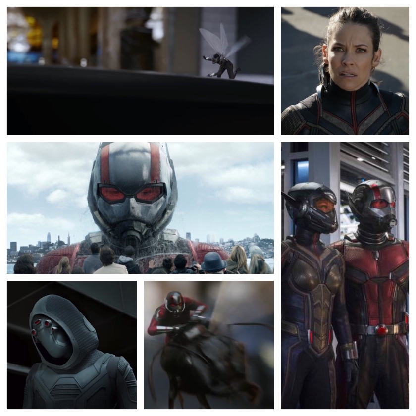 Ant Man and the Wasp pictures